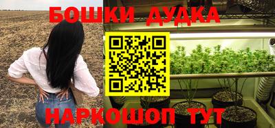 прущие грибы Нягань
