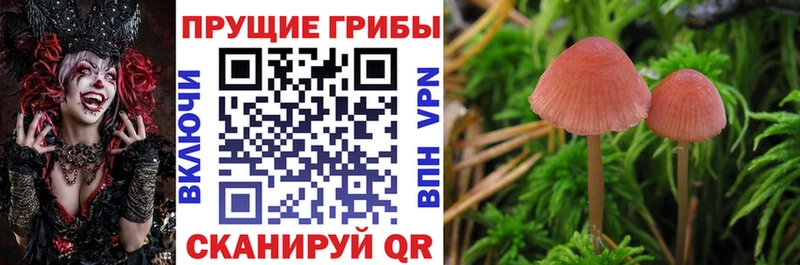Галлюциногенные грибы Magic Shrooms  купить закладку  Сызрань 