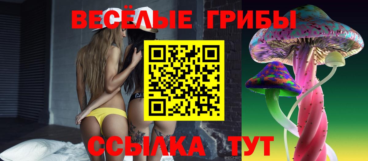 Псилоцибиновые грибы GOLDEN TEACHER  хочу   Сызрань  Галлюциногенные грибы Psilocybine cubensis  Вход с VPN 